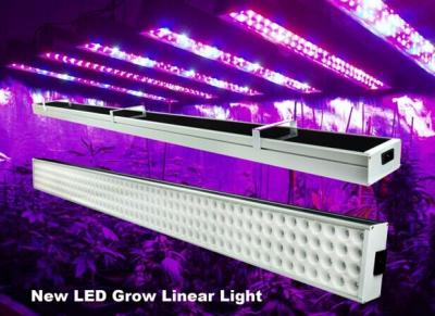 China 4 pies hidropónico linear llevado crecen la barra de luces 120w para el invernadero, 50Hz-60Hz en venta