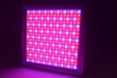 China Full Spectrum Dimmable LED Grow Lights IP65 Waterproof With 58W Power for sale