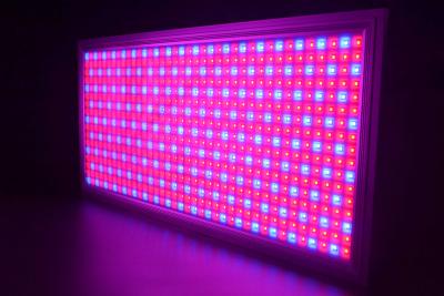 China Ultrathin Greenhouse Led Grow Lights For Vegetables / Spectrum Grow Lights Indoor Plants 110V for sale