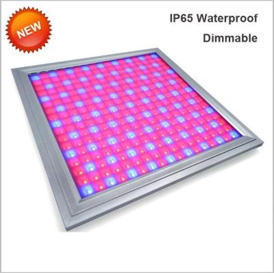 China 110V Led Full Spectrum Grow Lights , Led Flowering Grow Lights Energy Saving for sale