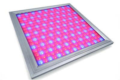 China Alluminum Waterproof LED Grow Lights For Vegetables , Indoor Grow Room LED Lights for sale