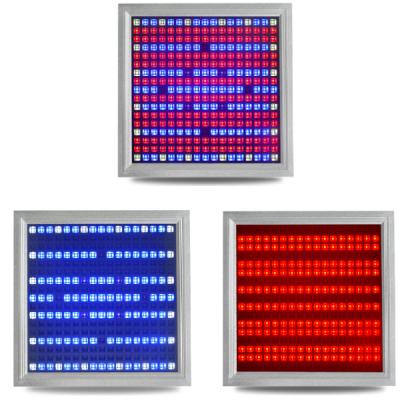 China O diodo emissor de luz completo profissional do espectro cresce luzes para a exploração agrícola vertical, lúmens altos 3600lm à venda