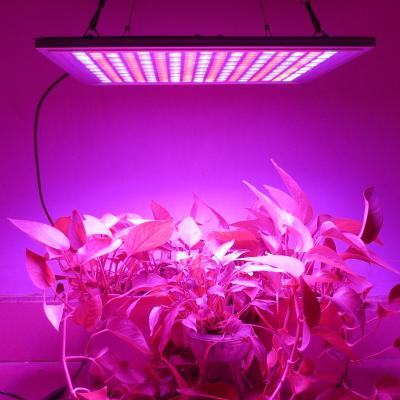 中国 45ワット防水LEDは屋内植物の播くことのためのスイッチを薄暗くするライト パネルを育てます 販売のため