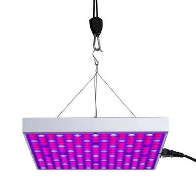 China Dimmable Waterproof Grow Lights With Power Cord , Indoor Plant Grow Lights for sale