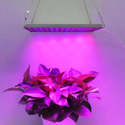 China Indoor Garden LED Panel Grow Light With Meanwell Driver , 10mm Thickness for sale