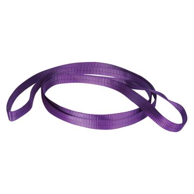 China Factory Direct High Endless Green Yellow Purple Polyester Flat Sling High Quality1-12m for sale