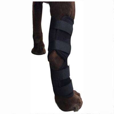 China Breathable Support Wound Recover Dog Protector Knee Support Brace For Leg Hock Joint Wrap for sale