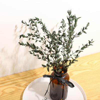 China Natural Thin Leaves Flower/Plant Preserved Eucalyptus Leaves Apple Leaves For Christmas Home Decoration for sale