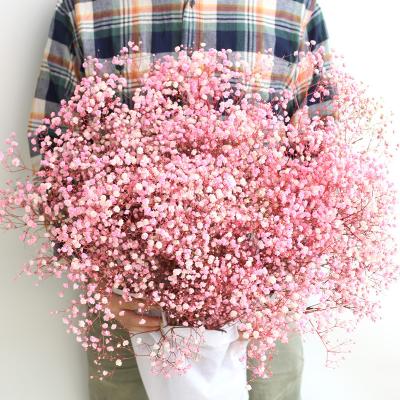 China Real Touch Durable Gypsophila A Large Group Of Preserved Flower Bouquet Garden Office Wedding Bouquet Ornaments Decoration for sale