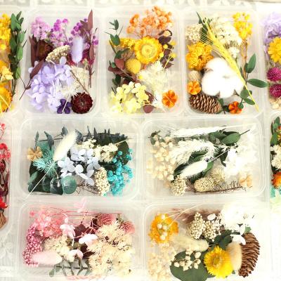 China DIY Activities Wholesale Dry Flower Materials Selection DIY Flower Materials Box Natural Mixed Random Baby Breath Eucalyptus Leaves Cone for sale