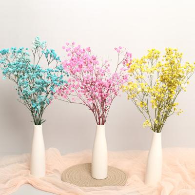 China Beautiful 100% Natural Baby's Breath Colorful Bundles For Wall Decor Home Decorations Million Dry Gypsophila Star Bouquet for sale