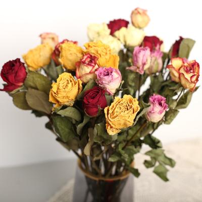 China Dry Flower Rose Flower Dried Flower Bouquet Natural Dry Rose for Vase Wedding Decoration Yunnan Home Wholesale for sale