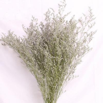 China Natural Touch Dry Limonium Flower Lover Grass Bouquet Dried 500g Fresh Flower LOVERGRASS For Valentine's Day Wedding Decoration for sale