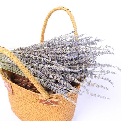 China Natural Dried Flower / Plant Dried Lavender Bundles 100% Natural Dried Lavender Flowers For Home Decoration Wholesale Amazon Cheap Dried Flower for sale