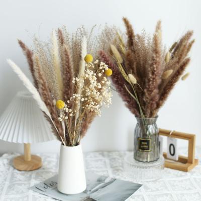 China Decorative Natural Dried Pampas Grass Decorations Amazon Hit Flower For Wedding Favors Small Brown Pampas Grass for sale