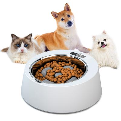 China Hot Selling Automatic Cat Feeder Smart Stainless Steel Automatic Weighting Keep Kit Slow Feeder Dog Bowl for sale