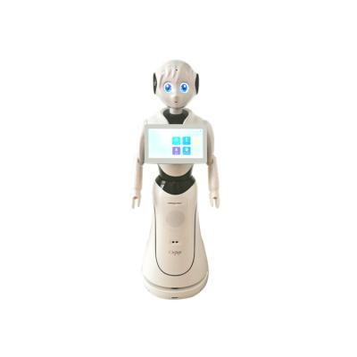 China Widely Used Popular Commercial Mall Top Quality Humanoid Artificial Intelligence Robot for sale