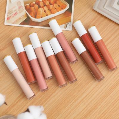 China Vegan Organic Matte Lip Gloss Waterproof Wholesale Liquid Pink Lip Gloss Tube Lip Gloss for sale