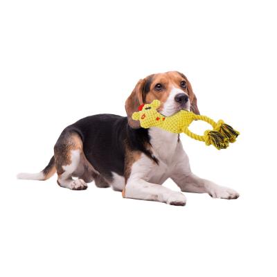 China Stocked PPYOU Custom Indestructible Aggressive Plush Dog Chew Toy Squeaky Toy for sale