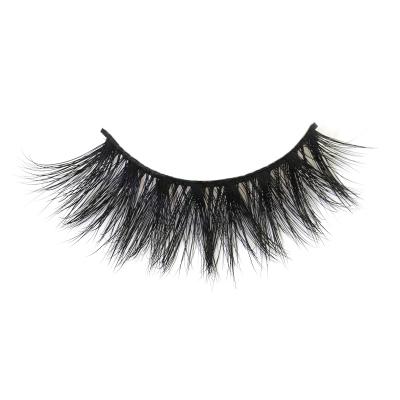 China Matte PBT Eyelash Extensions Natural Soft Half Eyelashes for sale