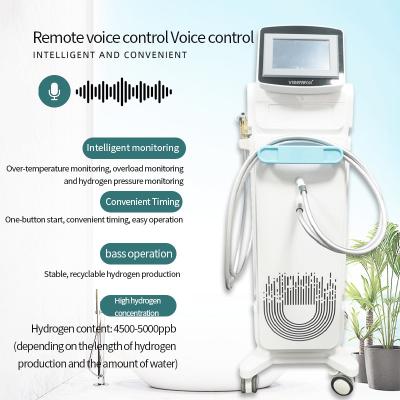 중국 VST-HY-2 수소 물 스파 목욕 기계 4500-5000ppb 수소 함유 수소 풍부한 물 판매용