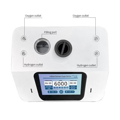 中国 Touchscreens Hydrogen Inhaling Machine Molecular Hydrogen Inhaler Machine 6000ml/min 販売のため