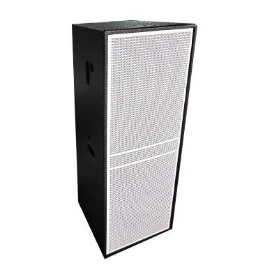 China Adult 2023 Most Popular Professional Two 15 inch Concert Speaker EV225 for sale