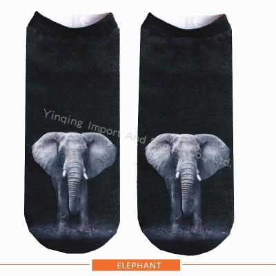 China Breathable Polyester Sublimation Low Show Ankle Printing Socks for sale