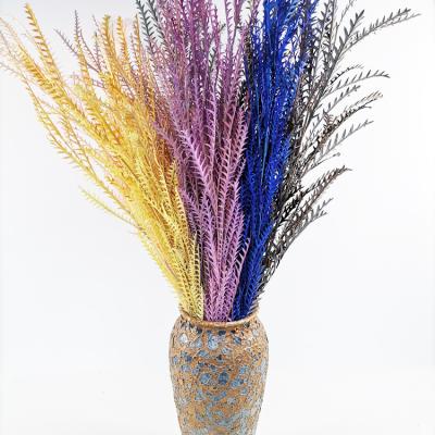 China SumFlora 2020 Wholesale Natural Multicolor Real Dried Flowers Home Decor Crenellated Leaf 50-65cm Long for sale