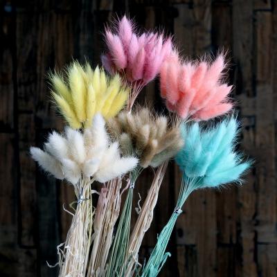 China Wedding decoration SumFlora factory price wholesale natural dry flowers wedding and home decoration lagurus for sale