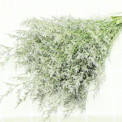 China Home Decor & wholesale wedding decor Sumflora flowers natural decorative limonium real touch dried flowers for home decoration for sale