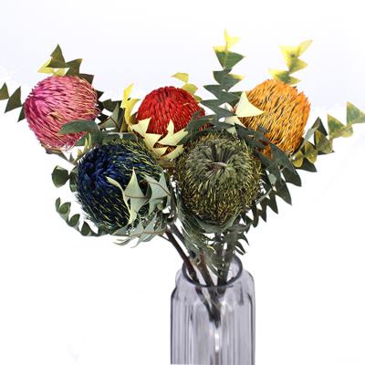 China Garden Home Decoration Sumflora Decoration Flower Bouquet Dry Dry Banksia Flower Material for sale