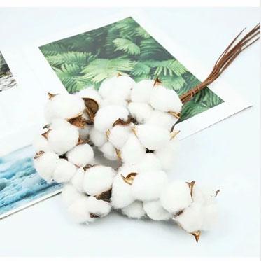 China Wedding Flower Arrangements SumFlora Factory Low Price Dried Cotton Dried Flower For Bouquet Material for sale