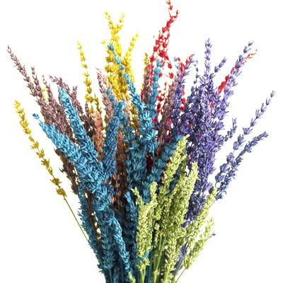 China Wedding and home decoration SumFlora Yunnan Natural Preserved Flowers Lavender for home&wedding decoration for sale