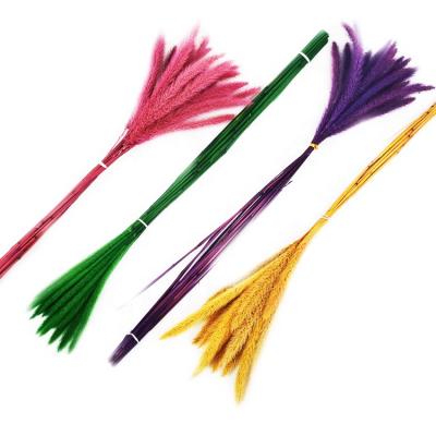 China Wholesale home colorful bouquet Sumflora decoration artificial flower feathery stipe for home decoration preserved flower dog tail for sale