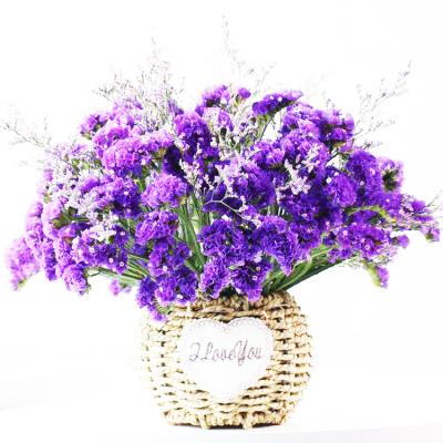 China Durable Preserved Forget Me Natural High Quality Hot Selling Bouquet Dry Flower Undurable for sale