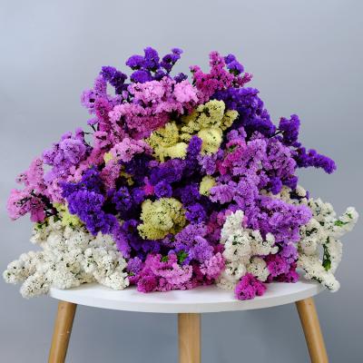 China Yunnan Factory Durable Wholesale Preserved Flower Forget Me Not Wedding Decorative Dry Pampass Grass for sale