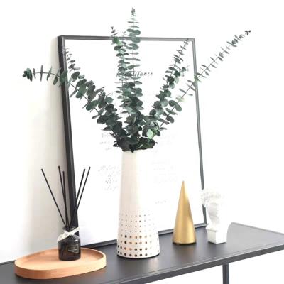 China 2021 Real Hot Product Sumflora Nature Touch Flowers Natural Preserved Decorative Eucalyptus Eucalyptus For Party Home Decoration for sale