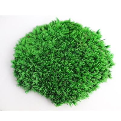 China 2021 Home Decoration Preserved Moss Flower SumerFlora Green Preserved Moss Stabilized Natural Moss House &Office Warm Decoration for sale