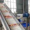 Verifizierter China-Lieferant - SSS Food Machinery Technology Co., Ltd