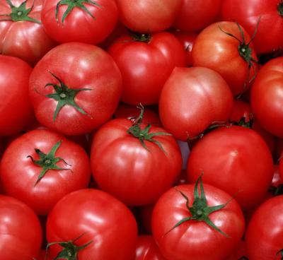 China Cadena de producción automática de la salsa de tomate de tomate 6,5 toneladas por hora en venta