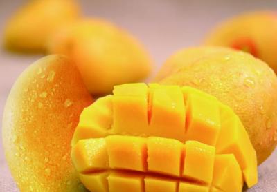 China Small Scale Fresh Juice Mango Processing Plant 2t/H en venta