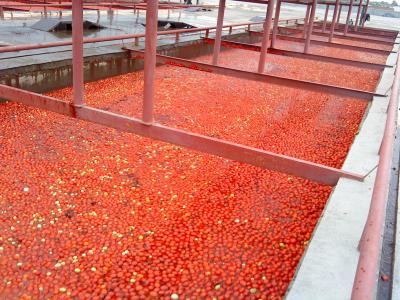 China Automatic Stainless Steel Fruit Jam Paste Sauce Processing Line With Filling Accuracy ≤±1% zu verkaufen