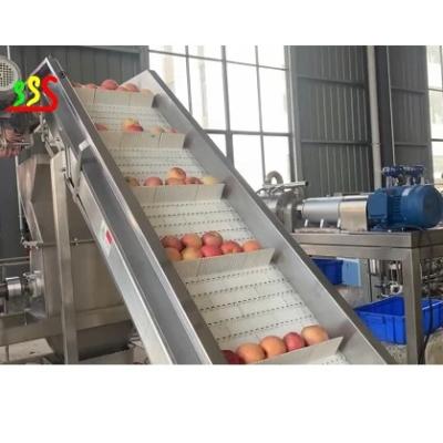 China Lijn voor de verwerking van fruit van roestvrij staal van voedselkwaliteit met automatische zakverpakking Te koop