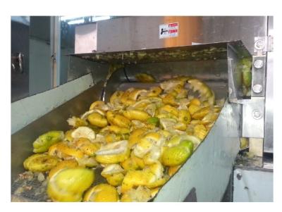 China Mango Pineapple Juice Fruit Production Line With Minimal 500L/H Capacity for sale