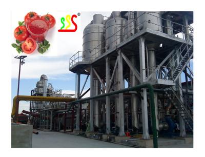 Cina Automatic Fruit Puree Production Line 500 Cans Of Blueberry Puree Per Hour in vendita