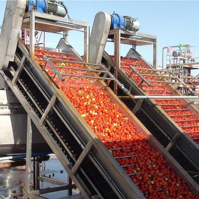 China 6.5tons por cadena de producción cruda de la pasta de tomate de la hora en venta