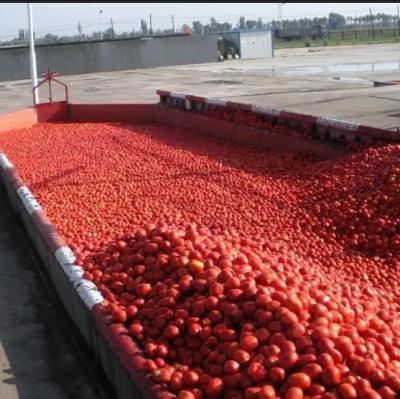 China Cadena de producción de la pasta de tomate para 300 tonos una máquina de proceso del día en venta