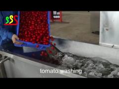 Fresh Tomato Jam Fruit Processing Line Customizationsystem