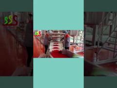 Concentrated Fruit Pulp Production Line High Capacity